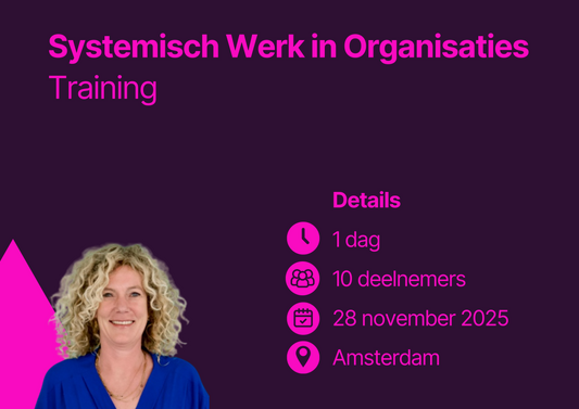 Systemisch Werk in Organisaties